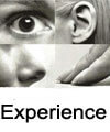 experience